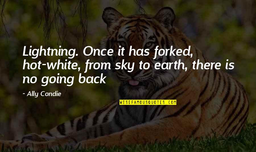 Forked Quotes By Ally Condie: Lightning. Once it has forked, hot-white, from sky