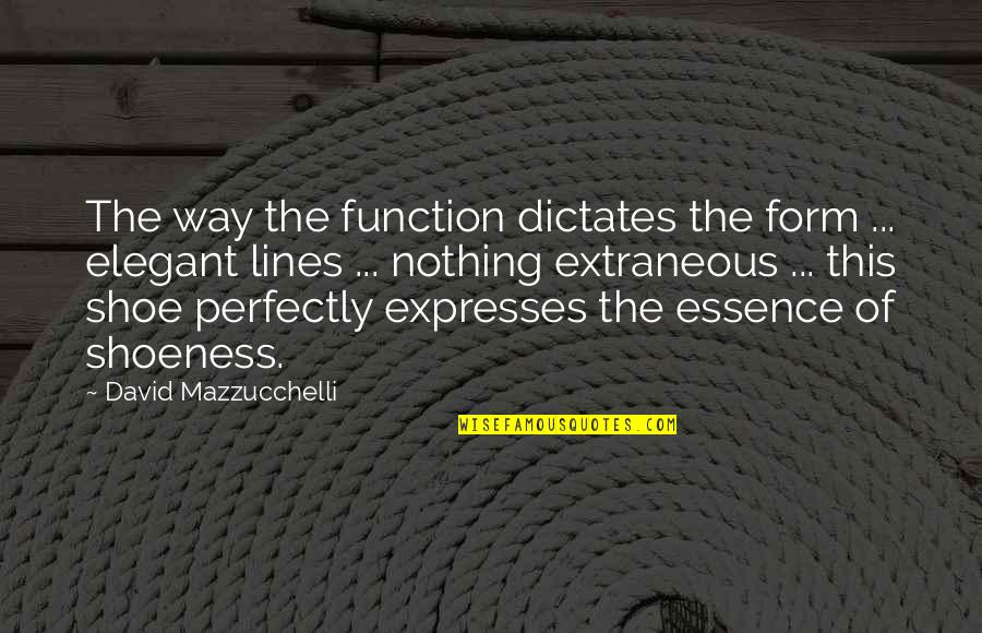 Form And Function Quotes By David Mazzucchelli: The way the function dictates the form ...