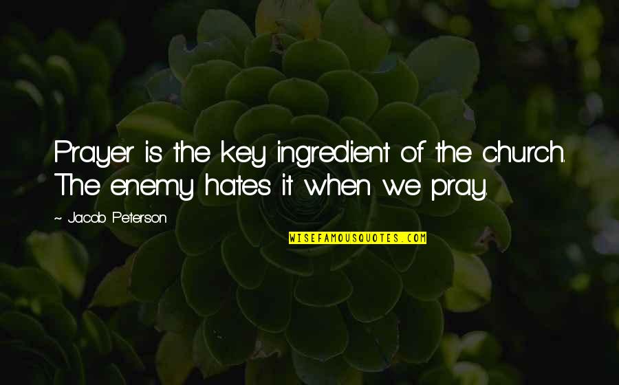 Formalidad En Quotes By Jacob Peterson: Prayer is the key ingredient of the church.