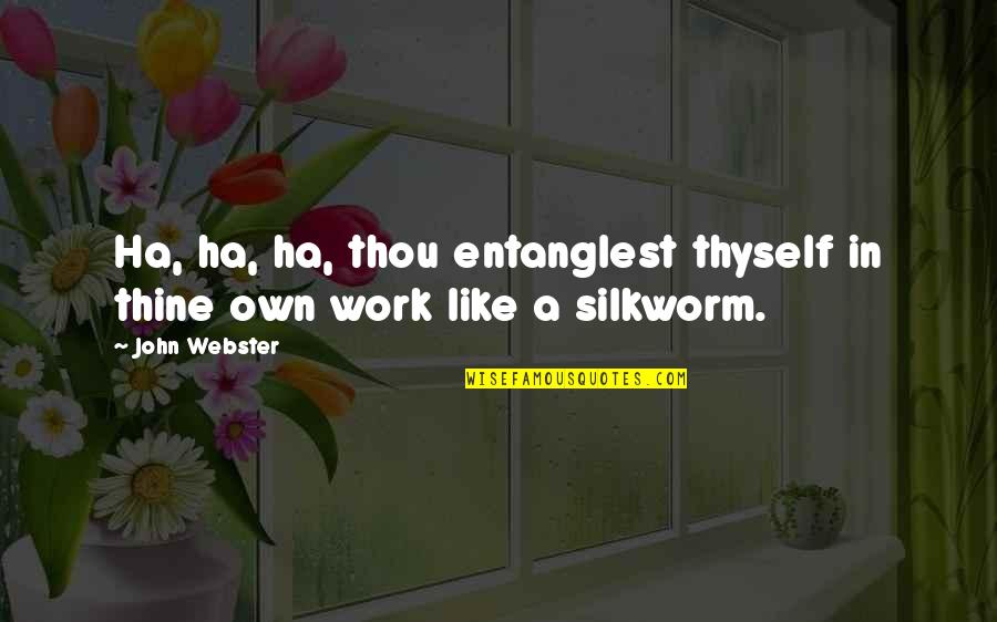 Formalismo Definicion Quotes By John Webster: Ha, ha, ha, thou entanglest thyself in thine
