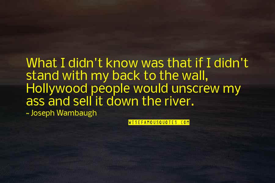 Formam Quotes By Joseph Wambaugh: What I didn't know was that if I