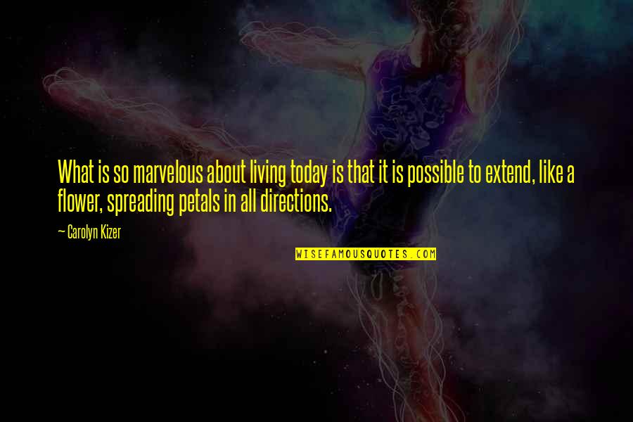 Formano Porcelain Quotes By Carolyn Kizer: What is so marvelous about living today is Formano Porcelain Quotes By Carolyn Kizer: What is so marvelous about living today is