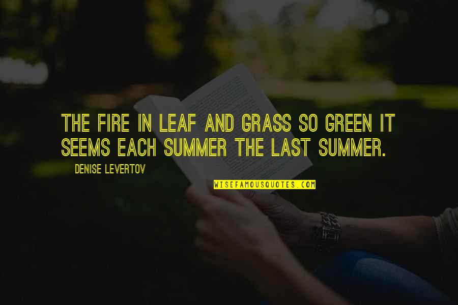 Forms From An Even Distribution Quotes By Denise Levertov: The fire in leaf and grass so green
