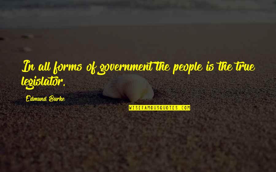 Forms Of Government Quotes By Edmund Burke: In all forms of government the people is