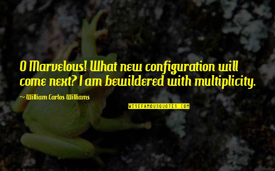 Formulary Drug Quotes By William Carlos Williams: O Marvelous! What new configuration will come next? Formulary Drug Quotes By William Carlos Williams: O Marvelous! What new configuration will come next?