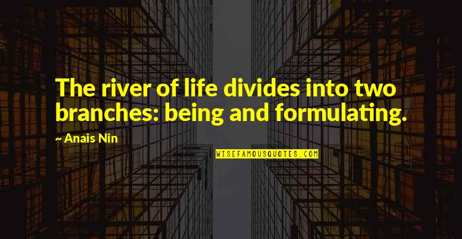 Formulating Quotes By Anais Nin: The river of life divides into two branches: