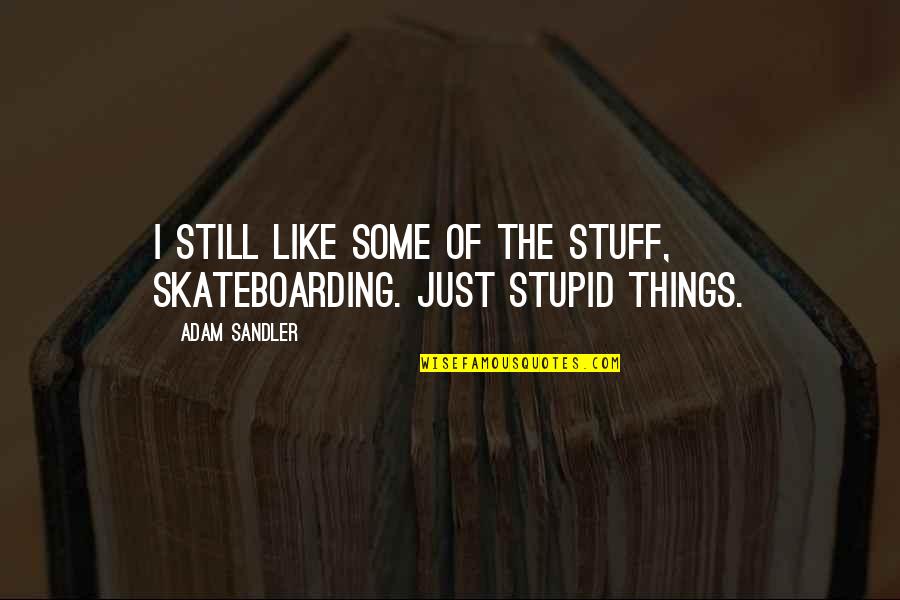 Fornataro Electric Quotes By Adam Sandler: I still like some of the stuff, skateboarding.