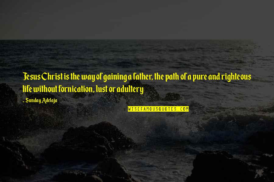 Fornication Quotes By Sunday Adelaja: Jesus Christ is the way of gaining a