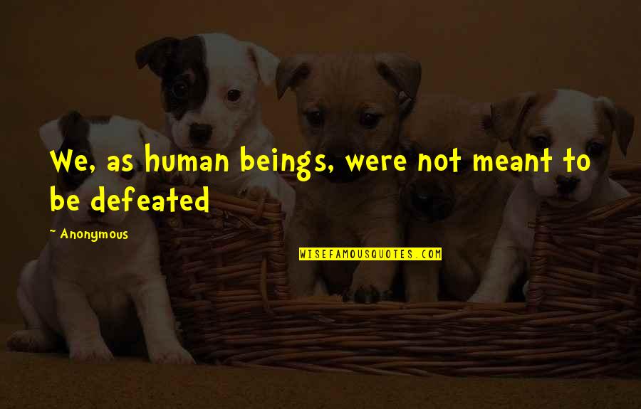Forouzan Quotes By Anonymous: We, as human beings, were not meant to