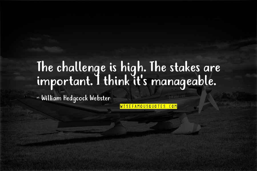 Forouzan Quotes By William Hedgcock Webster: The challenge is high. The stakes are important.