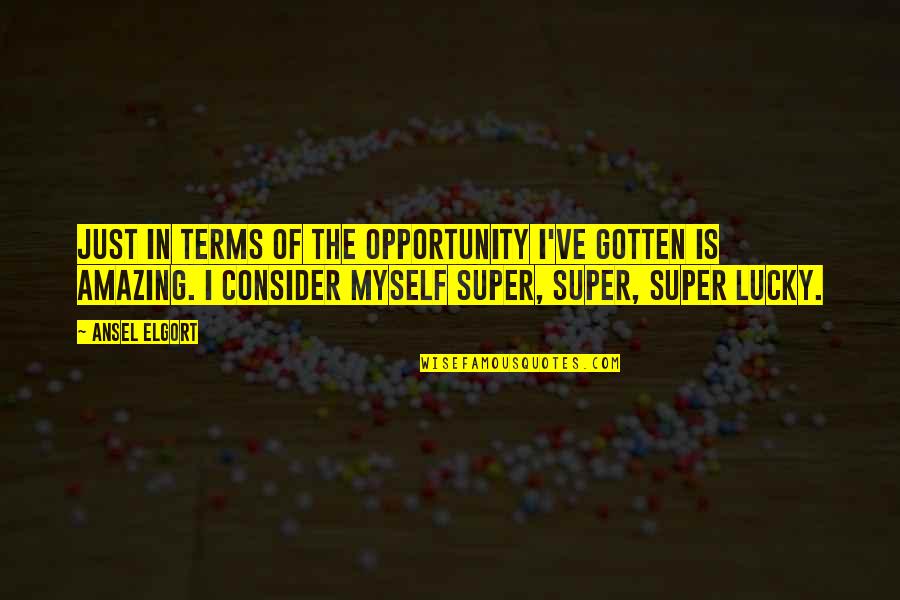 Forrado En Quotes By Ansel Elgort: Just in terms of the opportunity I've gotten Forrado En Quotes By Ansel Elgort: Just in terms of the opportunity I've gotten