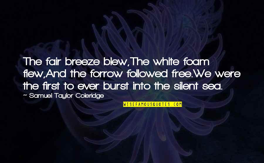 Forrow Quotes By Samuel Taylor Coleridge: The fair breeze blew,The white foam flew,And the