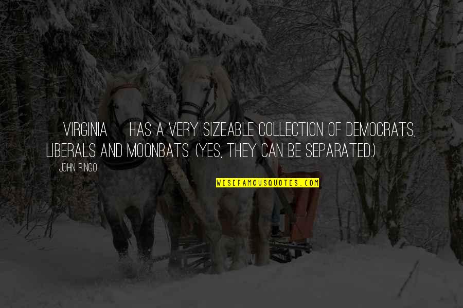 Forstinger Scharding Quotes By John Ringo: [Virginia] has a very sizeable collection of democrats,