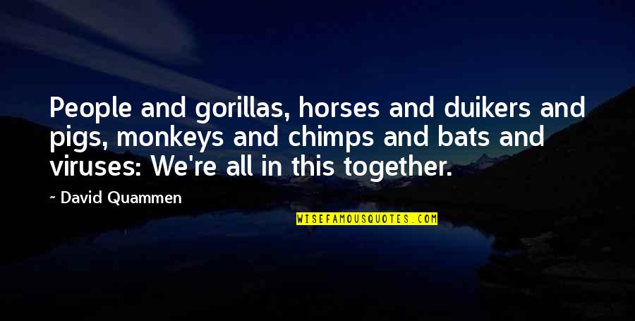 Fortalecer El Quotes By David Quammen: People and gorillas, horses and duikers and pigs, Fortalecer El Quotes By David Quammen: People and gorillas, horses and duikers and pigs,