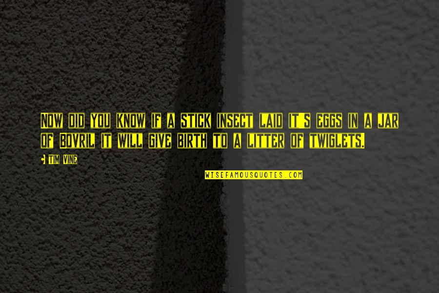 Fortebraccio Flora Quotes By Tim Vine: Now did you know if a stick insect Fortebraccio Flora Quotes By Tim Vine: Now did you know if a stick insect