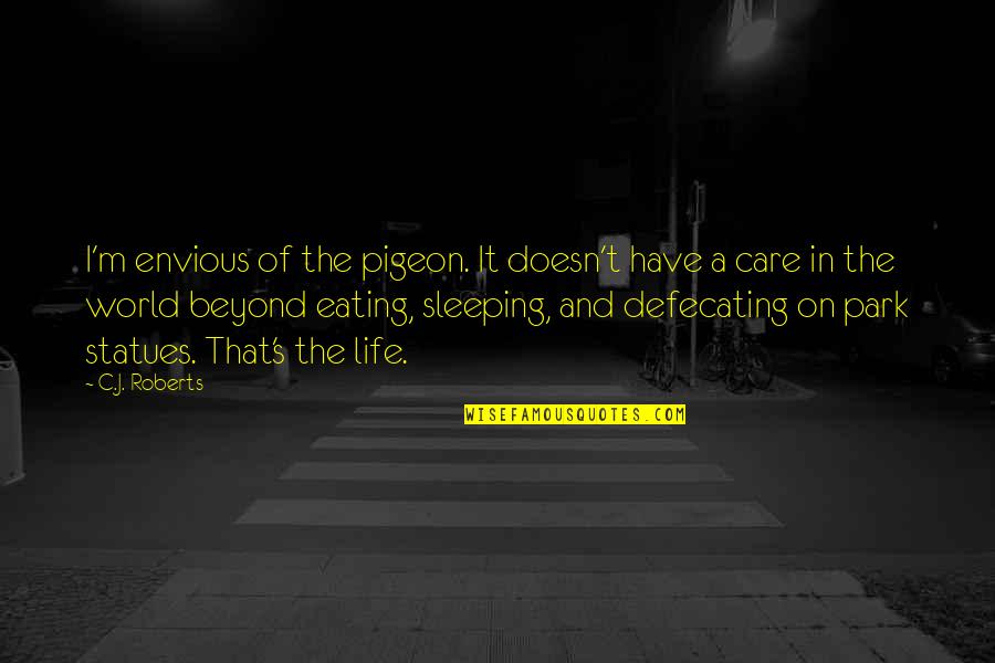 Forthcoming Crossword Quotes By C.J. Roberts: I'm envious of the pigeon. It doesn't have