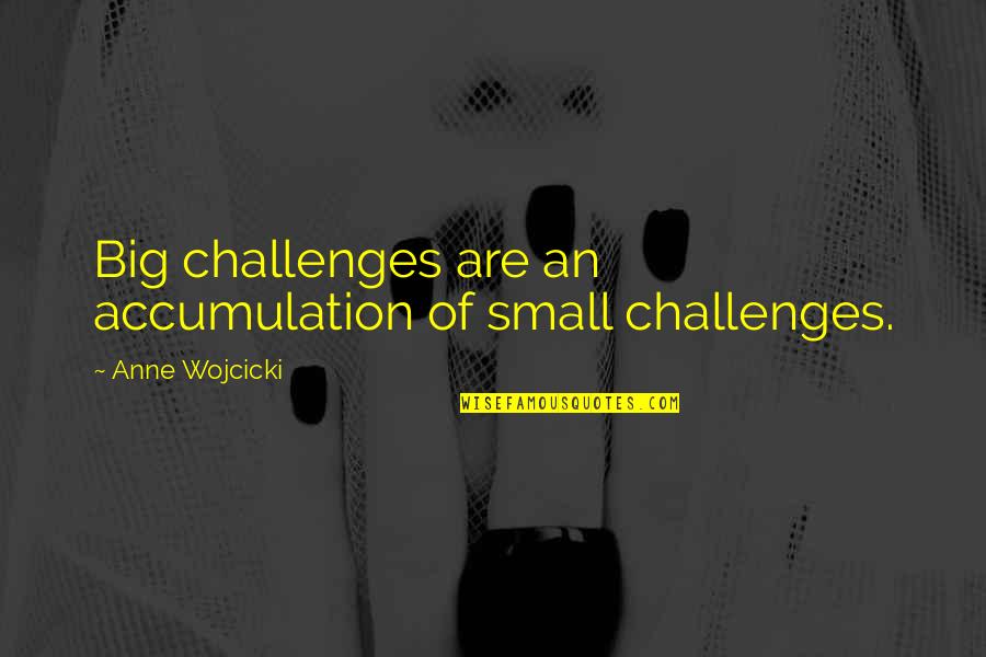 Fortime Quotes By Anne Wojcicki: Big challenges are an accumulation of small challenges.