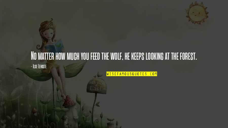 Fortnightly Quotes By Ilse Lehiste: No matter how much you feed the wolf,