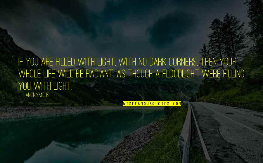 Fortschritt E Quotes By Anonymous: If you are filled with light, with no