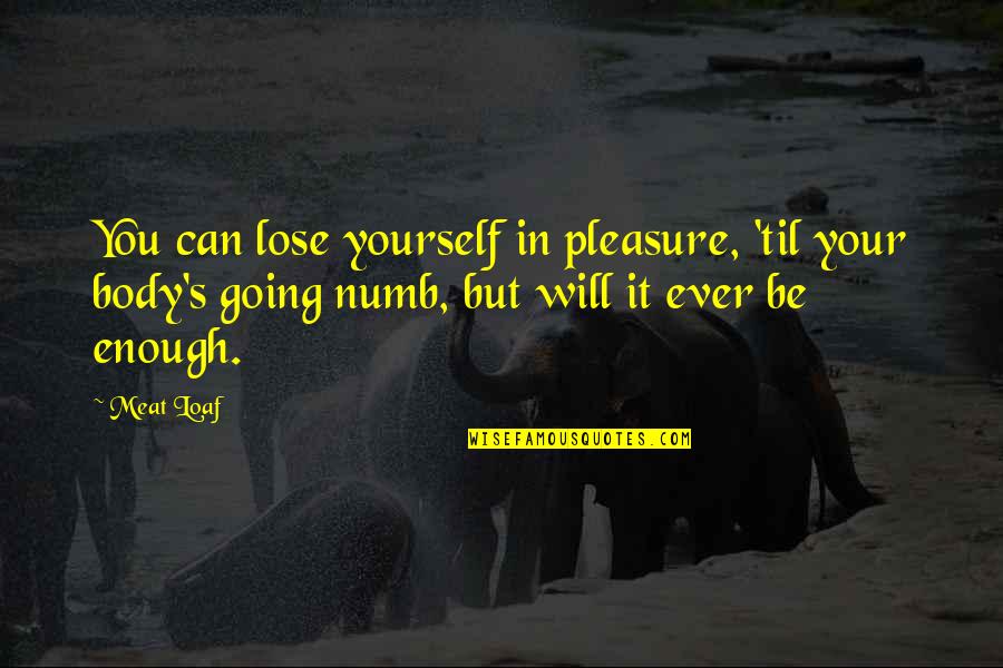 Fortunate Quotes And Quotes By Meat Loaf: You can lose yourself in pleasure, 'til your Fortunate Quotes And Quotes By Meat Loaf: You can lose yourself in pleasure, 'til your