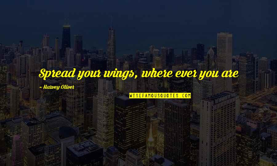 Fortuyn Haarlem Quotes By Harvey Oliver: Spread your wings, where ever you are Fortuyn Haarlem Quotes By Harvey Oliver: Spread your wings, where ever you are