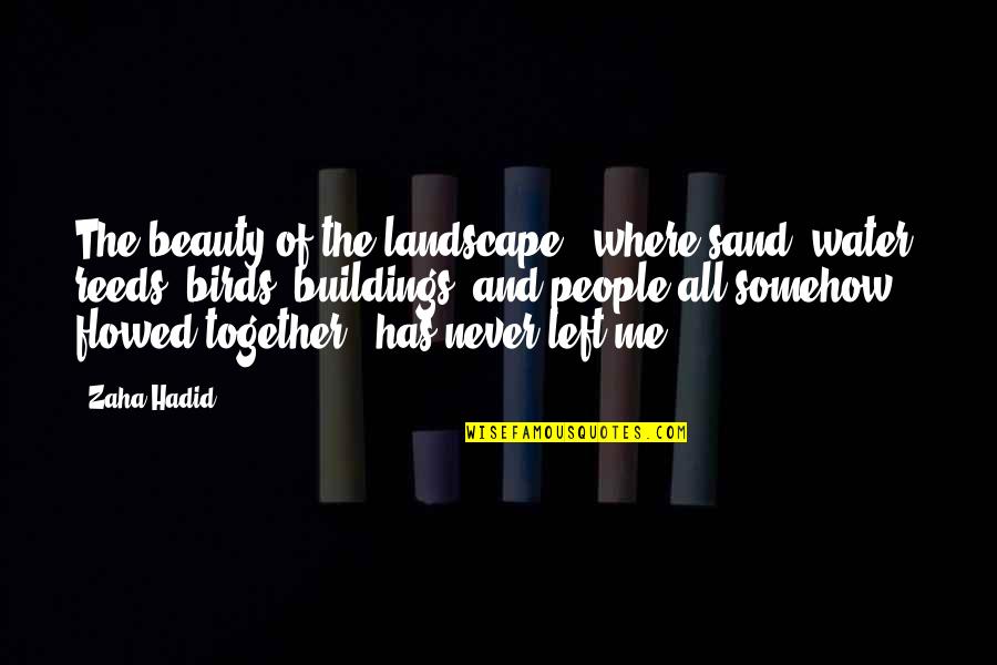Forugh Times Quotes By Zaha Hadid: The beauty of the landscape - where sand,