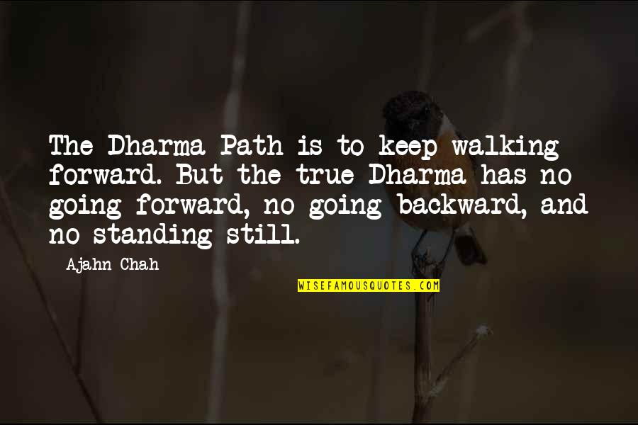 Forward And Backward Quotes By Ajahn Chah: The Dharma Path is to keep walking forward.