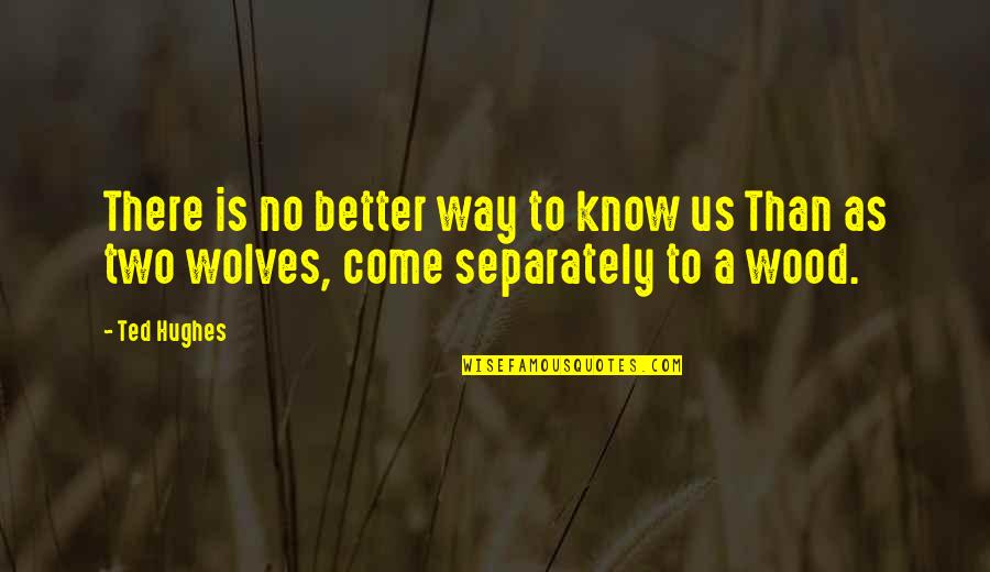 Forward Rates Quotes By Ted Hughes: There is no better way to know us