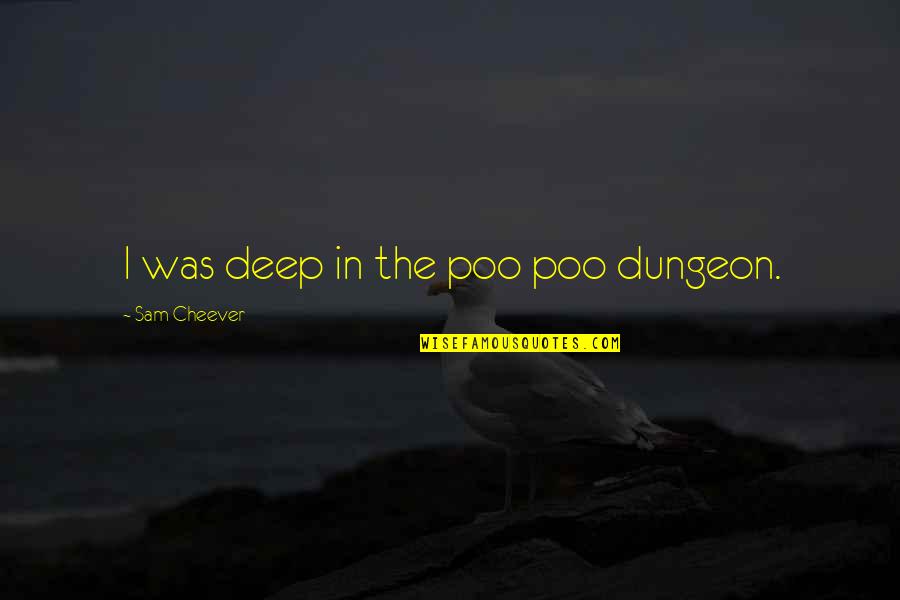 Forzani Family Chiropractic Center Quotes By Sam Cheever: I was deep in the poo poo dungeon.