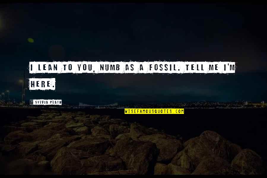 Fossil Quotes By Sylvia Plath: I lean to you, numb as a fossil.
