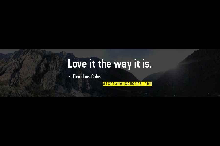 Foster Care Time Quotes By Thaddeus Golas: Love it the way it is.