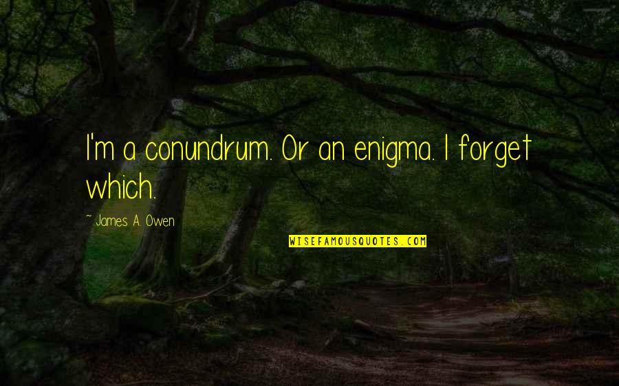 Foster Child Adoption Quotes By James A. Owen: I'm a conundrum. Or an enigma. I forget