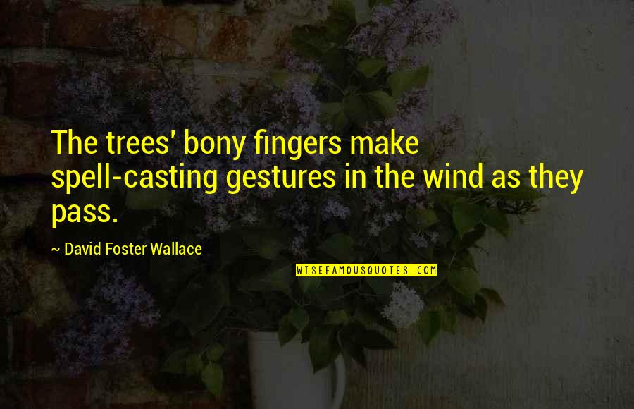 Foster Quotes By David Foster Wallace: The trees' bony fingers make spell-casting gestures in