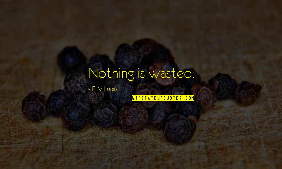 Foul Mouthed Quotes By E. V. Lucas: Nothing is wasted.
