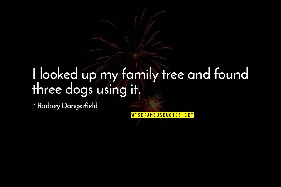 Found Family Quotes By Rodney Dangerfield: I looked up my family tree and found