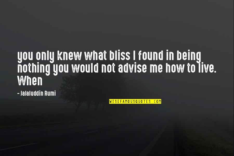 Found Nothing Quotes By Jalaluddin Rumi: you only knew what bliss I found in