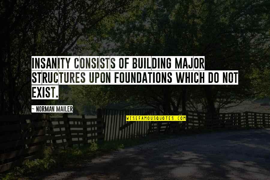 Foundation Of A Building Quotes By Norman Mailer: Insanity consists of building major structures upon foundations