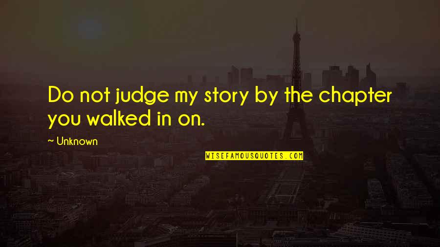 Foundationless Quotes By Unknown: Do not judge my story by the chapter