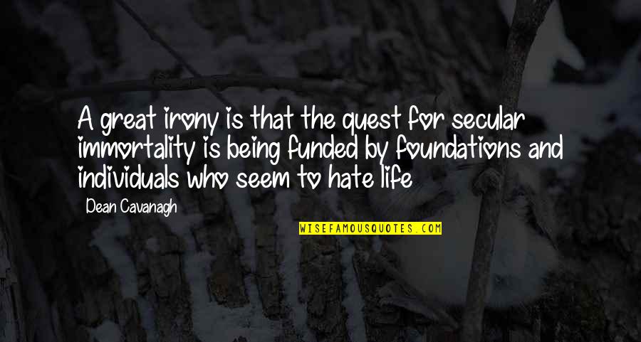 Foundations Of Life Quotes By Dean Cavanagh: A great irony is that the quest for