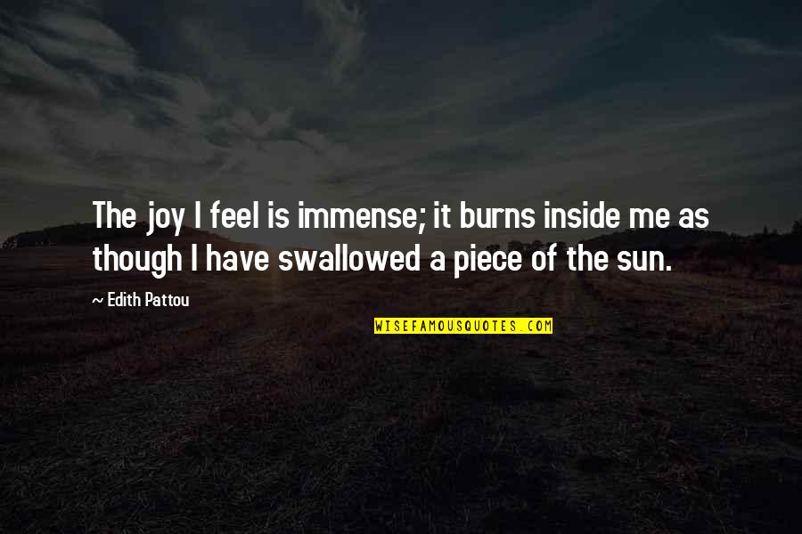 Foundem Quotes By Edith Pattou: The joy I feel is immense; it burns Foundem Quotes By Edith Pattou: The joy I feel is immense; it burns