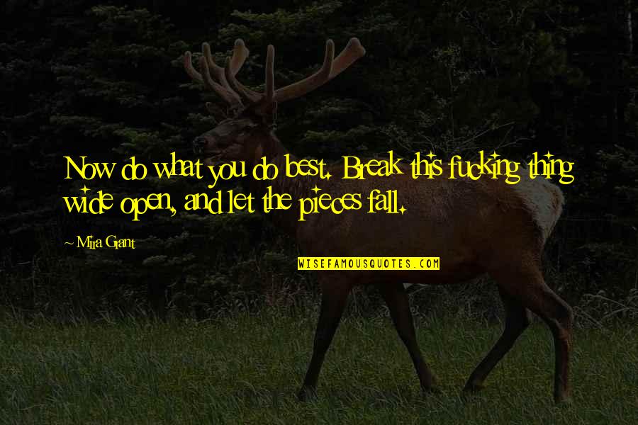 Founding Father Quotes By Mira Grant: Now do what you do best. Break this