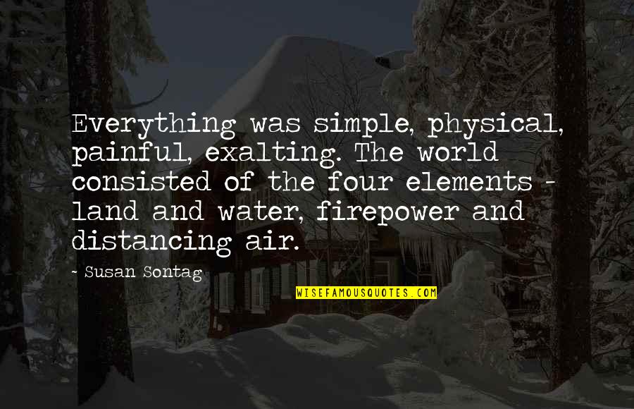 Four Elements Quotes By Susan Sontag: Everything was simple, physical, painful, exalting. The world