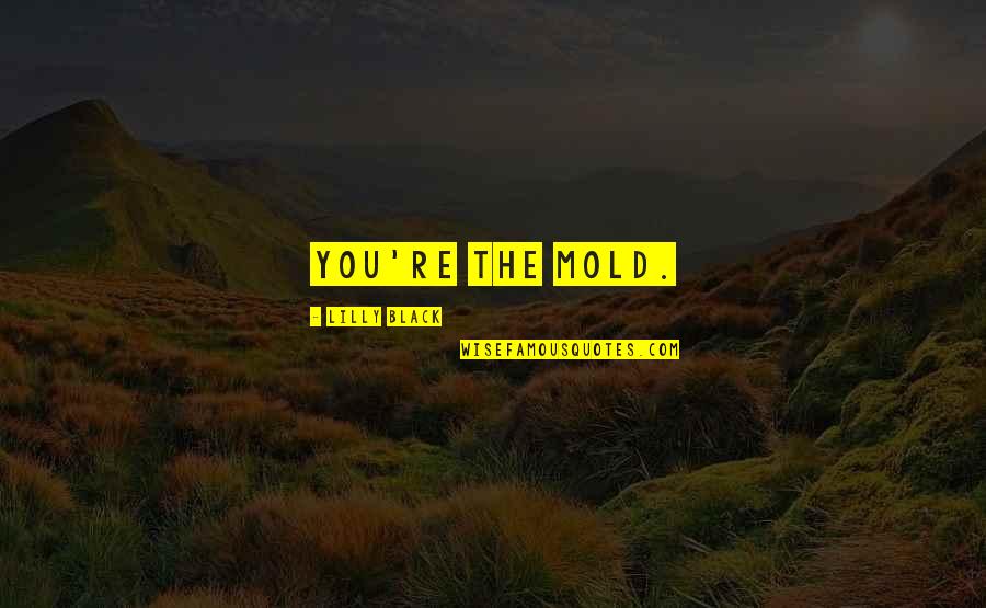 Four Word Famous Quotes By Lilly Black: You're the mold. Four Word Famous Quotes By Lilly Black: You're the mold.