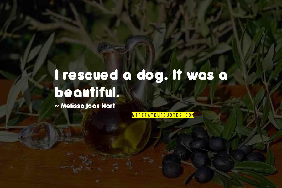 Fourchettes Bamboo Quotes By Melissa Joan Hart: I rescued a dog. It was a beautiful. Fourchettes Bamboo Quotes By Melissa Joan Hart: I rescued a dog. It was a beautiful.