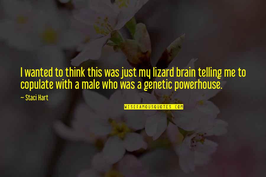 Fourrer Synonyme Quotes By Staci Hart: I wanted to think this was just my Fourrer Synonyme Quotes By Staci Hart: I wanted to think this was just my