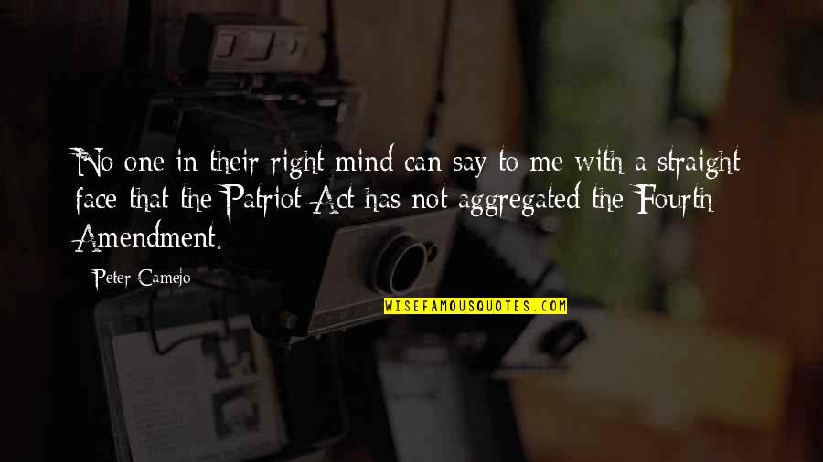 Fourth Amendment Quotes By Peter Camejo: No one in their right mind can say