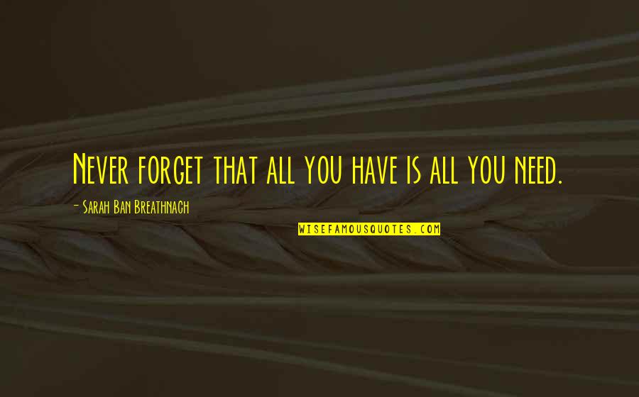 Fourth Kind Sumerian Quotes By Sarah Ban Breathnach: Never forget that all you have is all