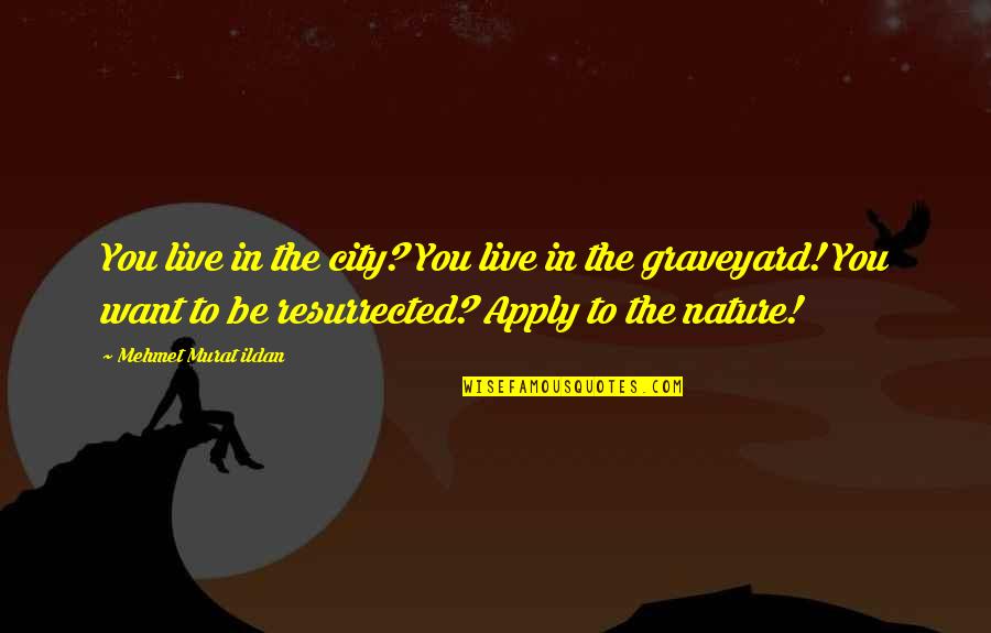 Fousekis Farses Quotes By Mehmet Murat Ildan: You live in the city? You live in Fousekis Farses Quotes By Mehmet Murat Ildan: You live in the city? You live in