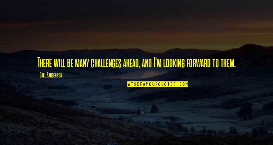 Fouseytube Quotes By Cael Sanderson: There will be many challenges ahead, and I'm