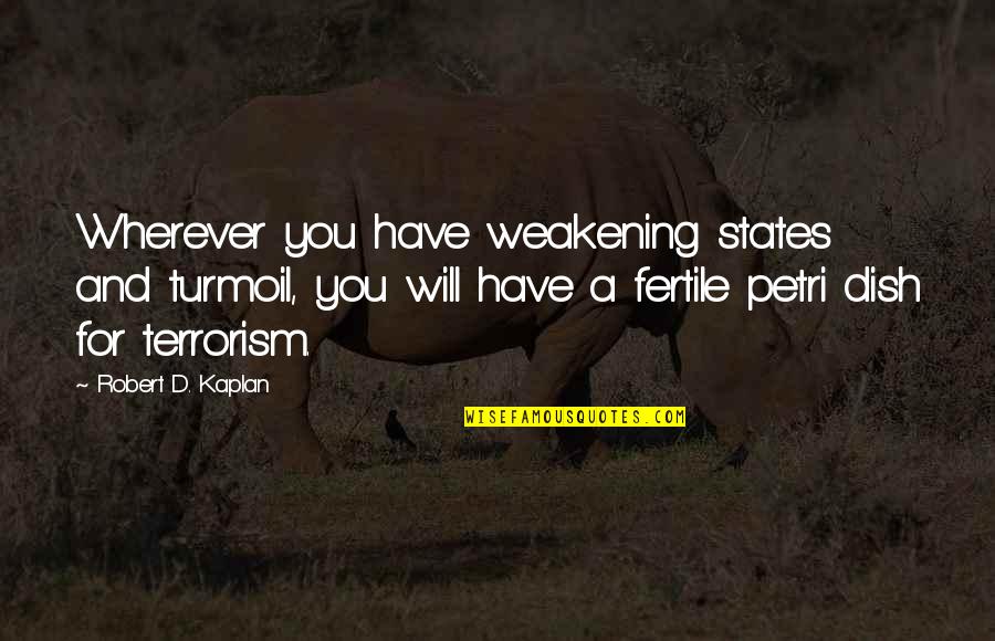 Foutisme Quotes By Robert D. Kaplan: Wherever you have weakening states and turmoil, you